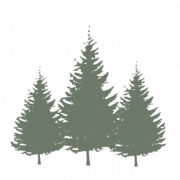 The Tree Wishes LTD logo