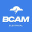 B Cam Electrical