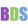 BDS Consultants