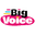 Big Voice Ltd