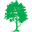 Central Woodside Tree Services