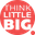 Think Little Big Marketing Ltd